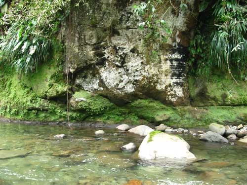 Balade en forêt tropicale